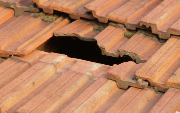 roof repair Bohenie, Highland
